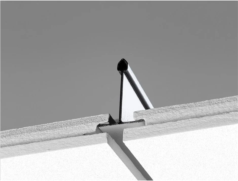 Focus Dg XL