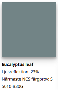Eucalyptus Leaf