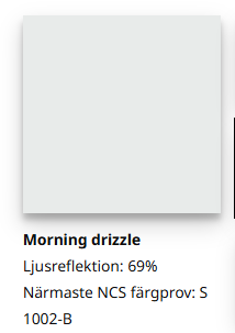Morning drizzle