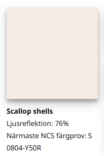 Scallop Shell