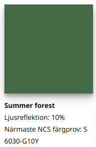 Summer Forest