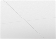 Focus Fixiform Ds XL