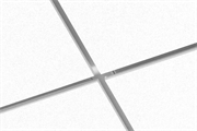 Focus Dg XL